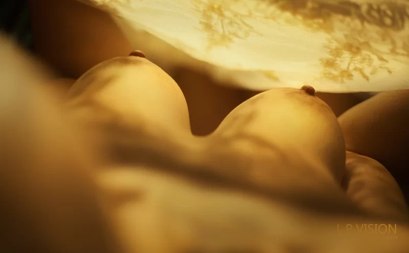 国产模特 复活空间[L.P.VISION] CARL CHAN作品合集【3566P+35V+9.84G】