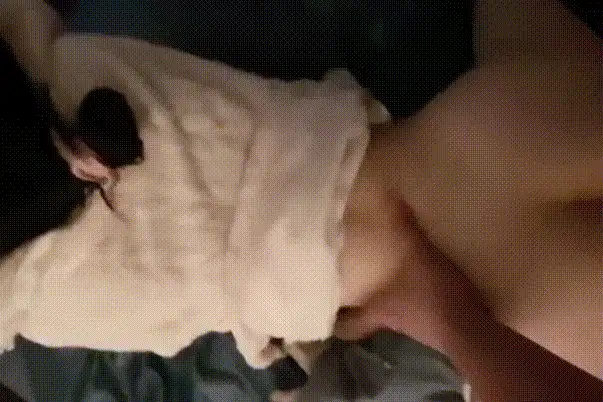 美女御姐 抖音300万粉丝网红[天降之雯]露点洗澡撒尿，嫩妹反差【18P/41V+617m】