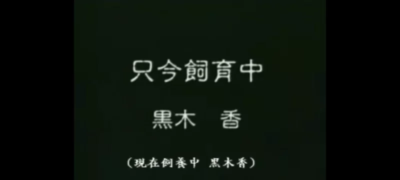 SM 自购首发✨只今饲育中 黑木香[中文字幕]【1V+350M】