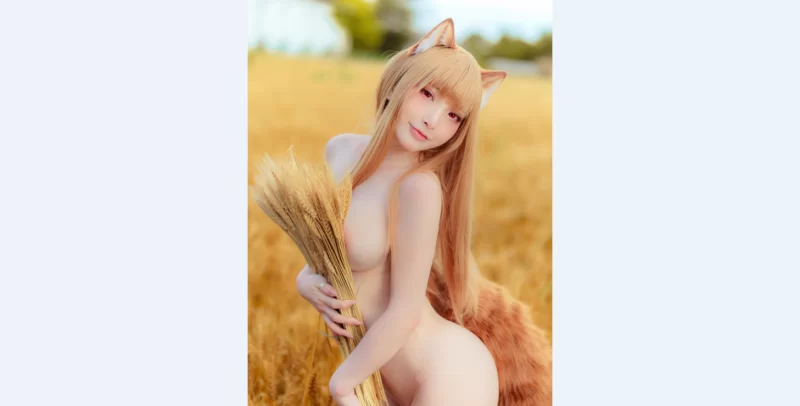 国产模特 小丁！狼与辛香料cosplay！【28p+426m】