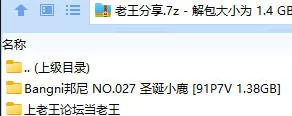 福利姬 Bangni邦尼 NO.027 圣诞小鹿【91P7V+1.38GB】