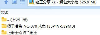 福利姬 橙子喵酱 NO.070 人鱼【35P1V+539MB】