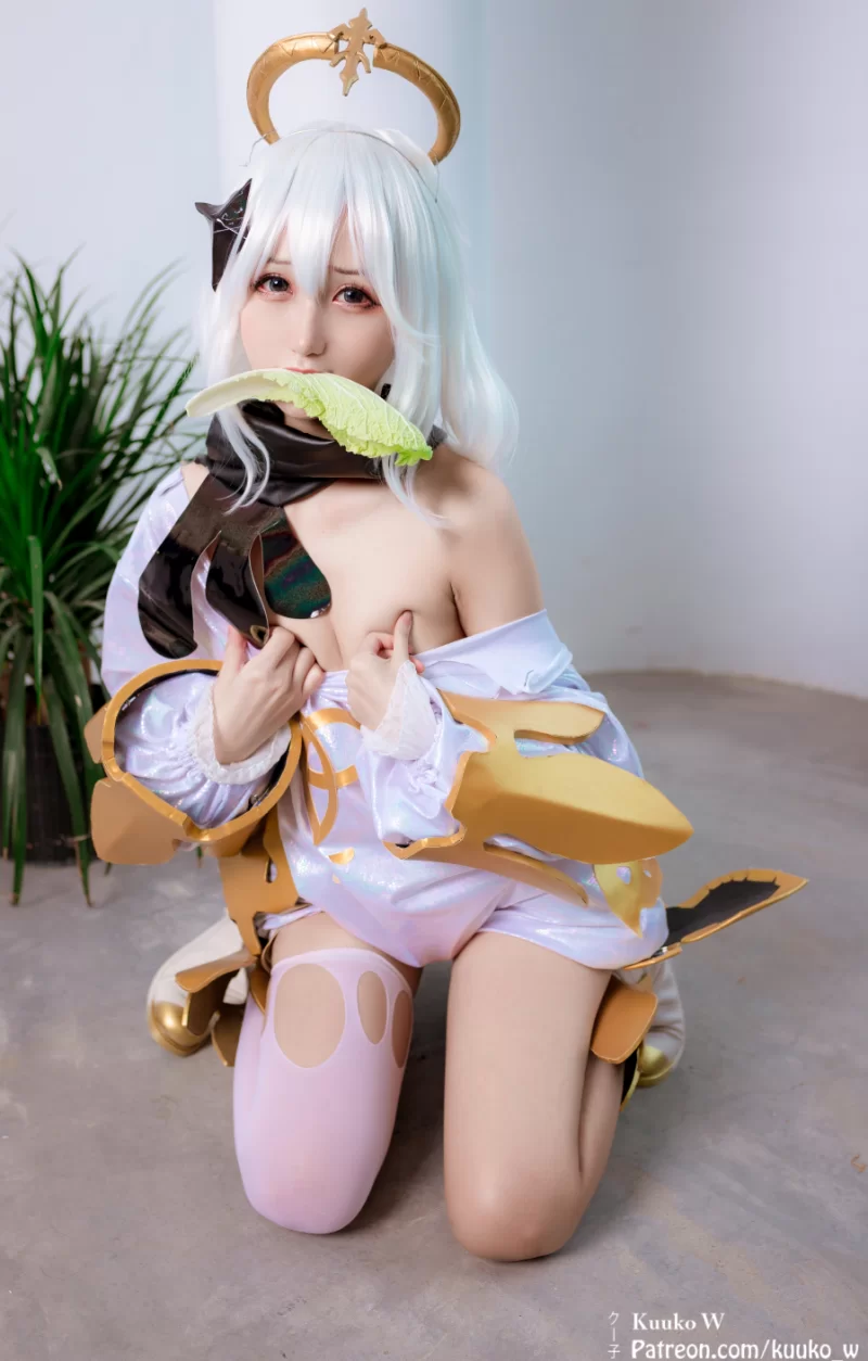 Cosplay [原神合集][原神图集]图鉴较完整cosplay 多图预警!313套【NPNV+116G】