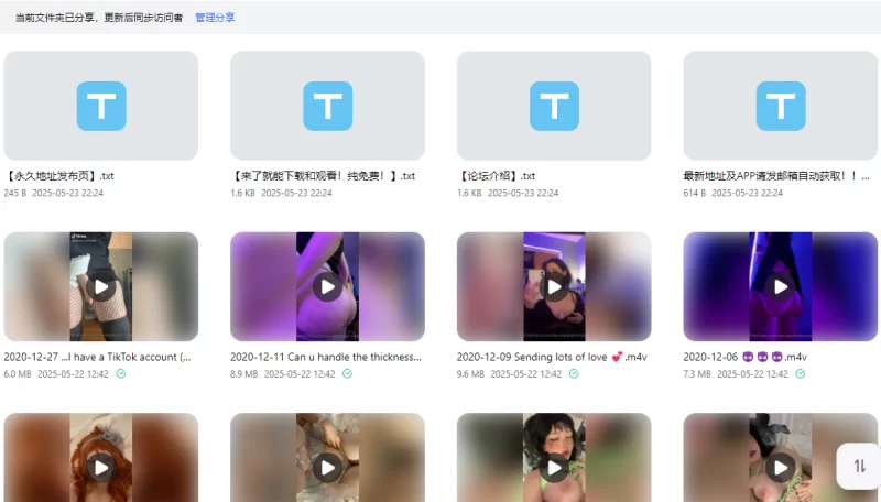 合集 Onlyfans高颜值巨乳博主lowkeydeadinside 合集【327v+22.1g】