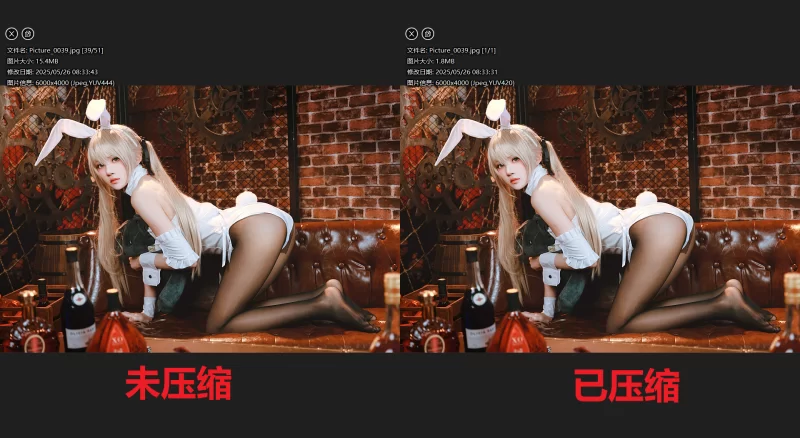 超大合集 [拯救硬盘]超大Cos福利姬资源压缩合集【252265P+3044V+360G】