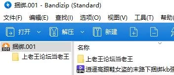 美腿/足控 逍遥高跟鞋女盗的末路捆绑强制闻鞋十字架固定【1v+220m】