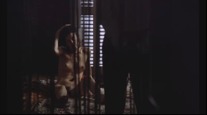 欧美 金内裤姑娘 La muchacha de las bragas de oro (1980)【1v+2.95g】