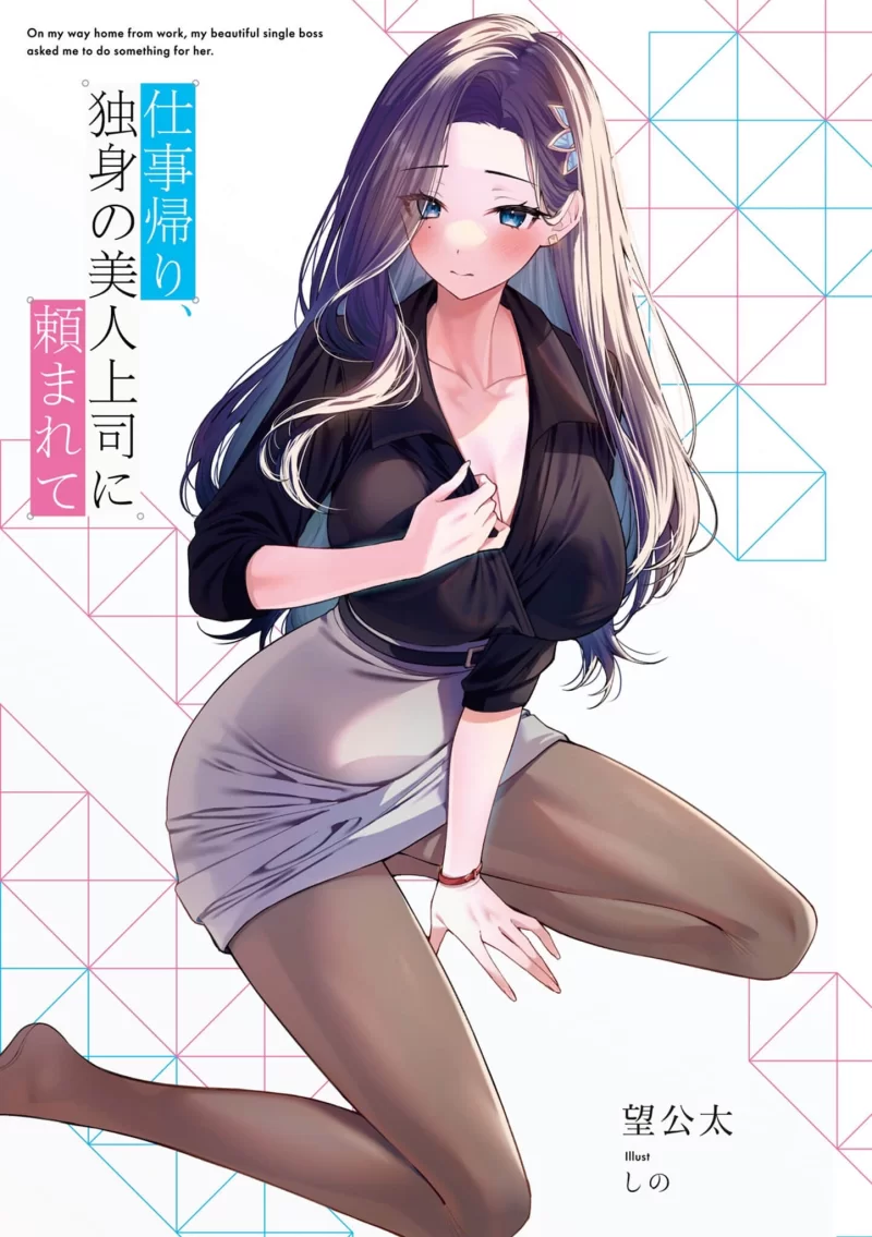 其他 下班回家，单身美女上司对我有事相求（正经小说）【+7M】