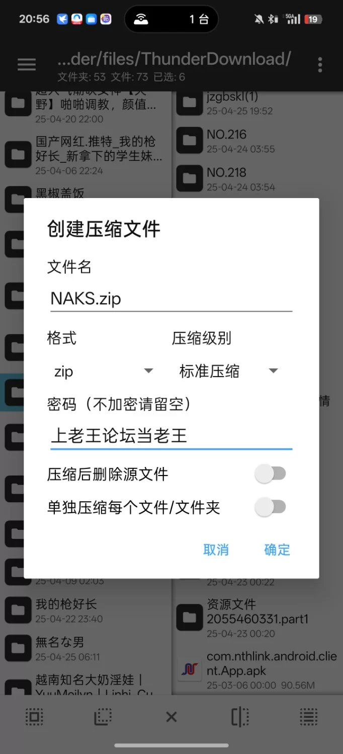 动漫 P站作者NAKS patreon5套小合集【np5套+1.12g】