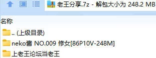 福利姬 neko酱 NO.009 修女【86P10V+248M】