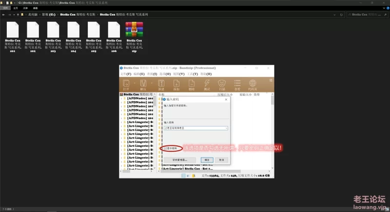 漏点 Stella Cox 斯特拉·考克斯 写真 系列【未知数+19GB】