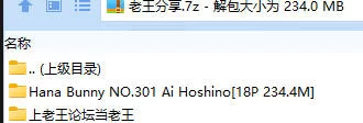 福利姬 Hana Bunny NO.301 Ai Hoshino【18P+234.4M】