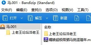 SM 媚娘超极限驷马挑逗瑾年【1v+600m】