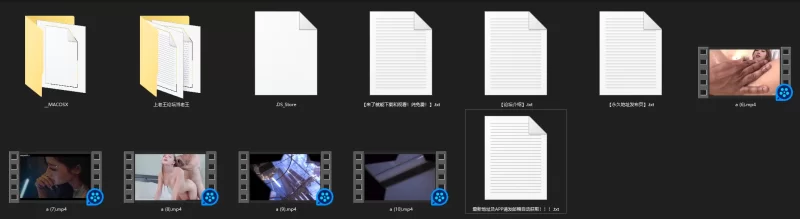 AI换脸 [1币白嫖]pmv细糠[第二弹]【5v+715M】