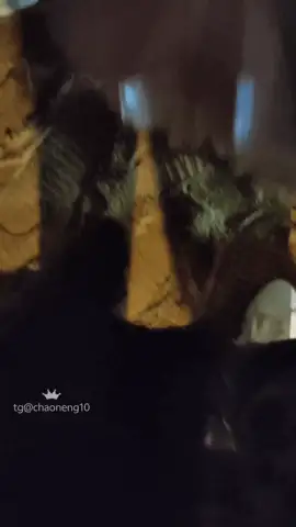 美女御姐 超刺激街射  小姐姐主动翘起屁股迎合你！公共场所大胆射【43v+6.04g】