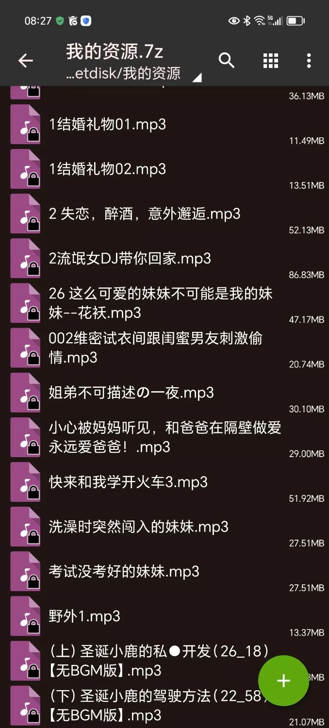 ASMR 自己整理的一小部分的r18音声【9+426mb】