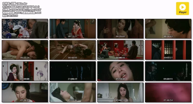日本 [日本三级]花魁1983 AI修复版 中字【1V+5.85G】