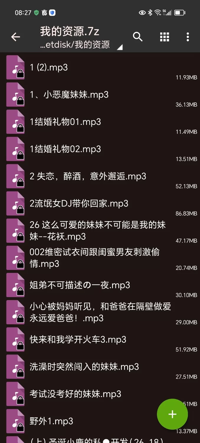 ASMR 自己整理的一小部分的r18音声【9+426mb】