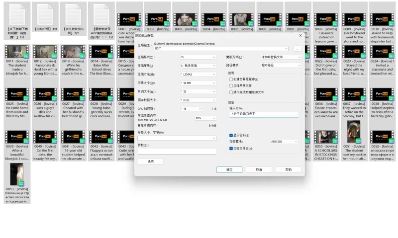 合集 ！爱脸接精液的骚货  p站lovirss 合集【53V+10G】