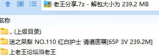 福利姬 迷之呆梨 NO.110 红白护士 请遵医嘱【65P3V+239.2M】
