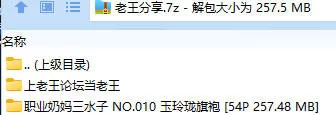 福利姬 职业奶妈三水子 NO.010 玉玲珑旗袍【54P+257.48MB】
