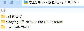 福利姬 Xiaoying小樱写真 NO.012 Tifa【73P+458MB】