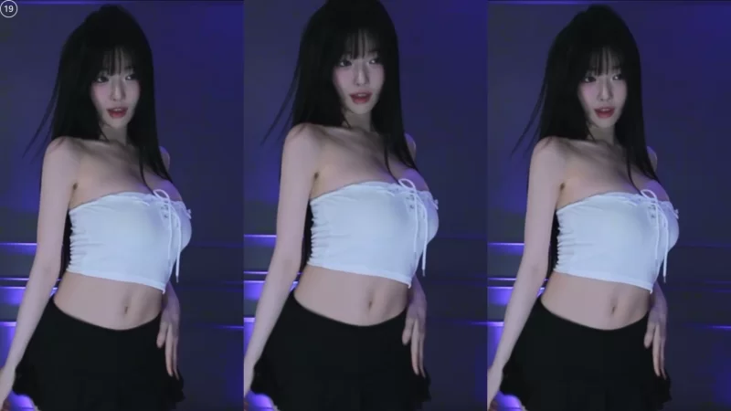 日韩主播 [自录]韩国美女主播과즙세연诗妍4月热舞小合集【10v+1.6g】