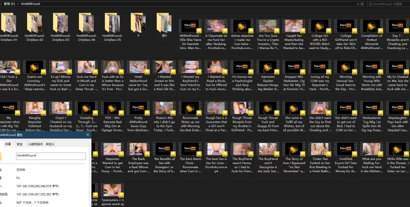 高颜值 404hotfound 全部打包合集【197v+681p+101G】