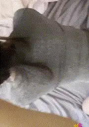 自拍 [内射御姐]轻调教后入猛操白虎穴高潮中出精液流【1V+974.81MB】
