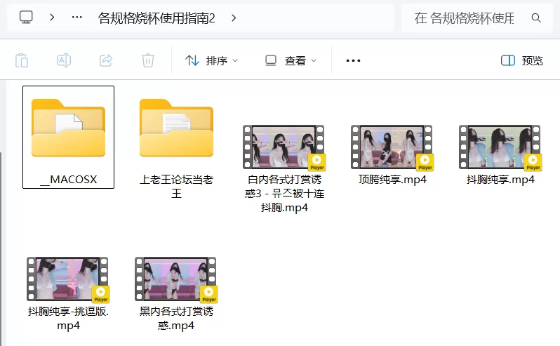 日韩主播 韩国BJ女团[mscrew33] 无水印剪辑 打赏诱惑 第一弹~~【5V+3.3G】