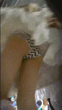 自拍 新人极品御姐[粉馒头一线天]美乳~咪咪超粉~无套啪啪【2+2044MB】