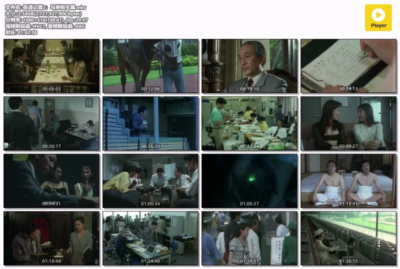 日本 [日本三级]极道记者2：马券转生篇 青山知可子 AI修复版【1V+2.54G】