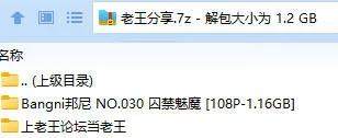 福利姬 Bangni邦尼 NO.030 囚禁魅魔【108P+1.16GB】