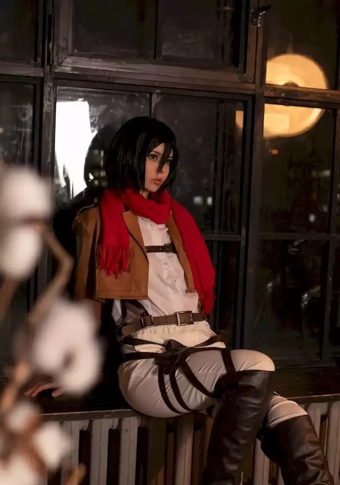 日韩coser Vinnegal写真合集【npv+5.2g】