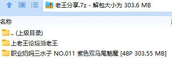 福利姬 职业奶妈三水子 NO.011 紫色双马尾魅魔【48P+303.55MB】