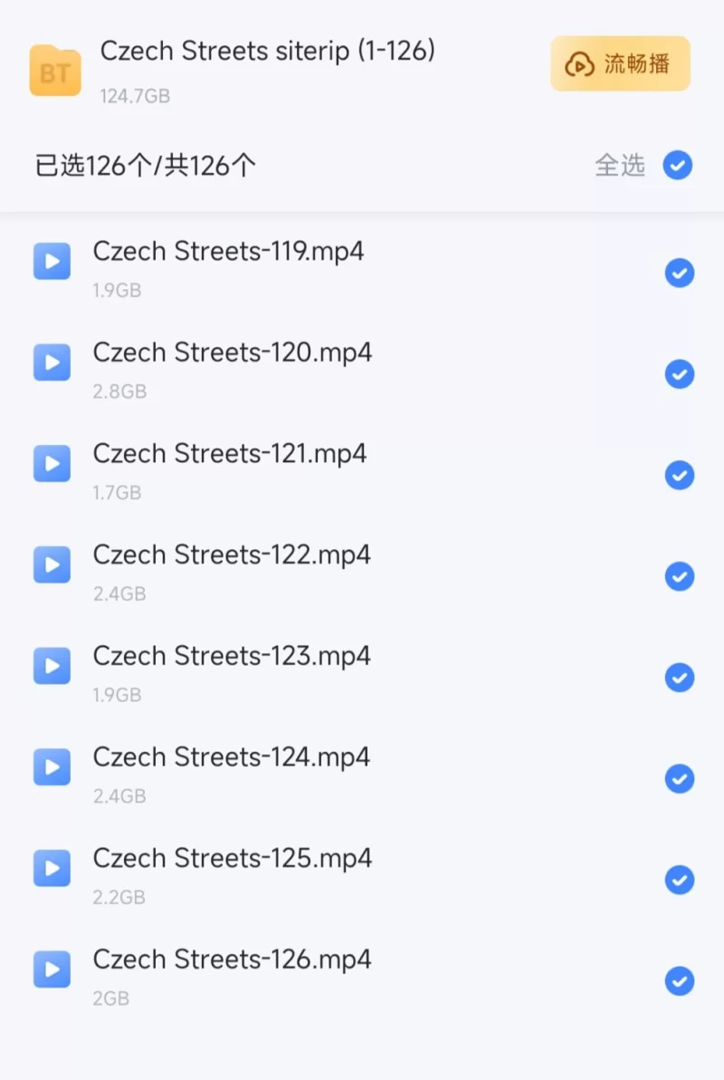 合集 CZECHstreets系列126部【126v+130G】