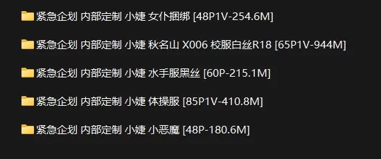 国产模特 紧急企划内部定制小婕5套合集【npnv+1.96g】