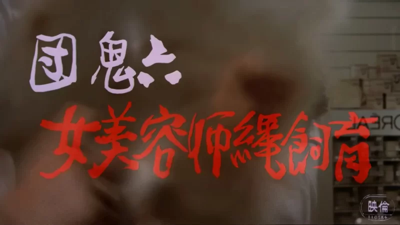 日本 [日本三级]团鬼六：女美容师绳饲育 AI修复版 麻吹淳子【1V+2.62G】