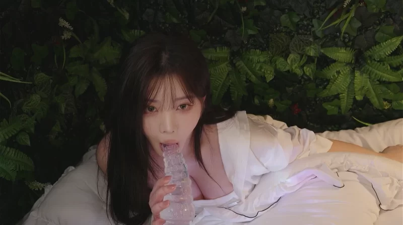 ASMR Yoonying25年5月无水印新资源2【1v+866M】