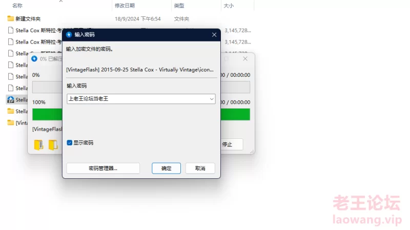 漏点 Stella Cox 斯特拉·考克斯 写真 系列【未知数+19GB】