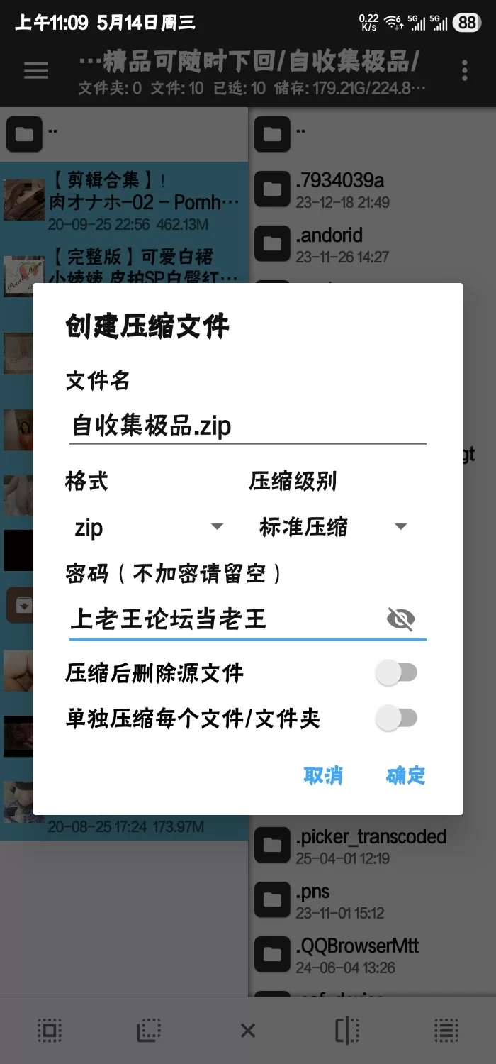 合集 自收集精品视频【8v+5g】