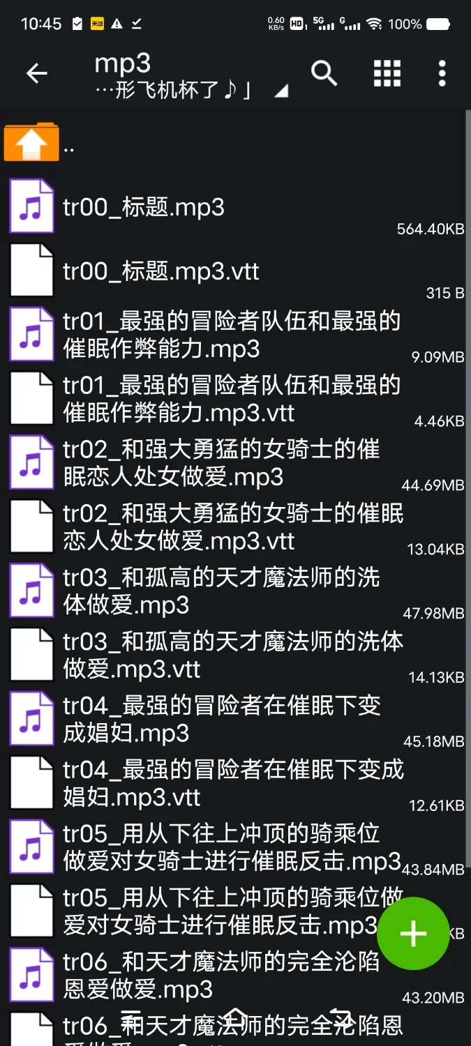 ASMR [简中]沦陷于快感之中的异世界转生用催眠能力让最强的冒险者队伍沦为变态人形飞机杯【8V+350M】