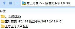 福利姬 蜜汁猫裘 NO.114 恰巴耶夫【103P2V+1.04G】