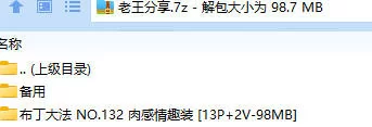 福利姬 布丁大法 NO.132 肉感情趣装【13P+2V+98MB】