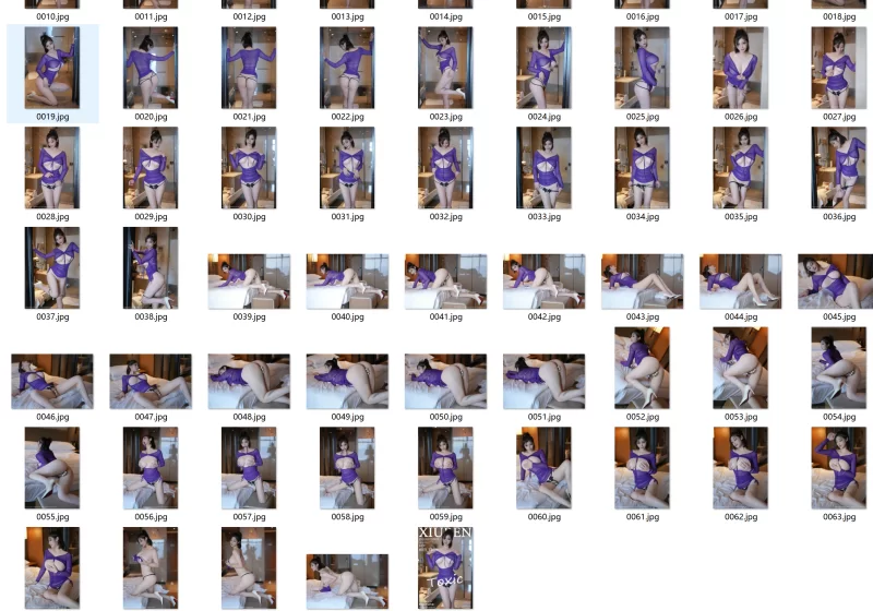 秀人网] NO.9219 妲己_Toxic【67P+549MB】