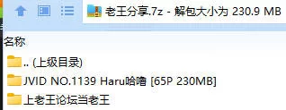 福利姬 JVID NO.1139 Haru哈嚕【65P+230MB】