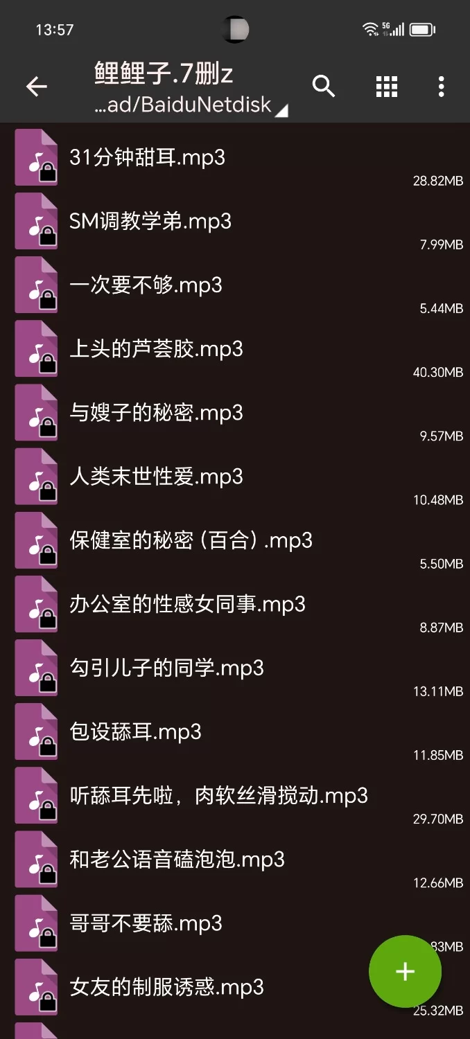 ASMR 虎牙鲤鲤子【nv+1gb】