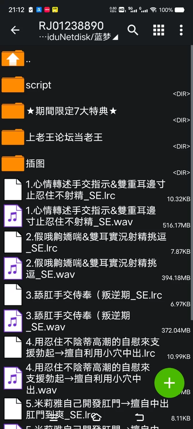 ASMR [简体中文版]自灭调教未尝败绩的处女雌小鬼淫魔♪魅惑肉棒小穴成长记录【8V+3.7G】