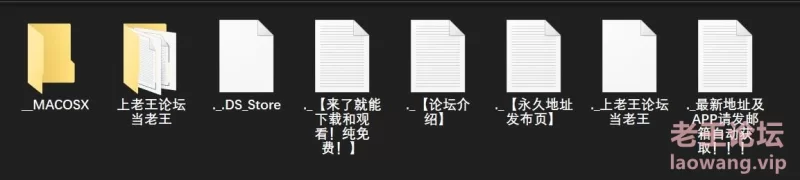 漏点 Lola A、Lolla、Dido A、Dido Angel 写真系列图集、套图【未知数+60GB】