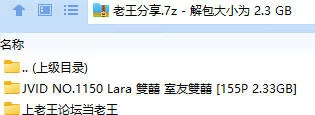 福利姬 JVID NO.1150 Lara 雙囍 室友雙囍【155P+2.33GB】